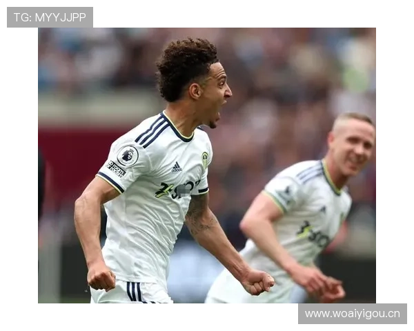 罗德里戈国家队关键战贡献与战术适配性分析