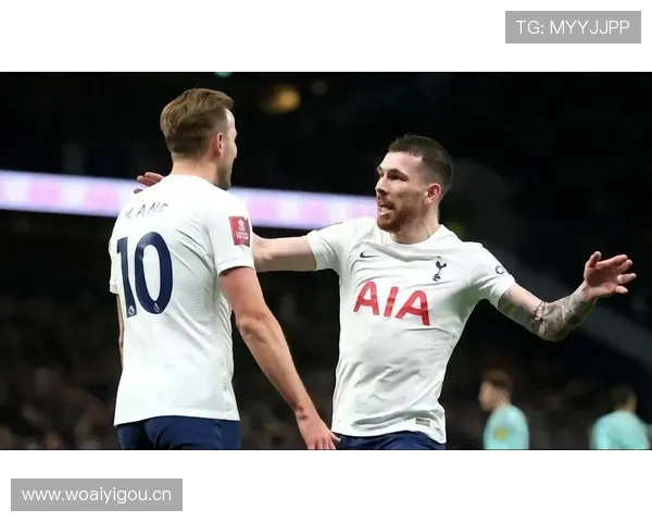 霍伊别尔进攻参与度提升与近期稳健表现解析